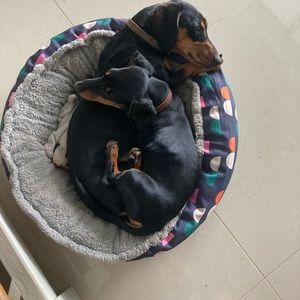 Meet your Posher, Ashleigh